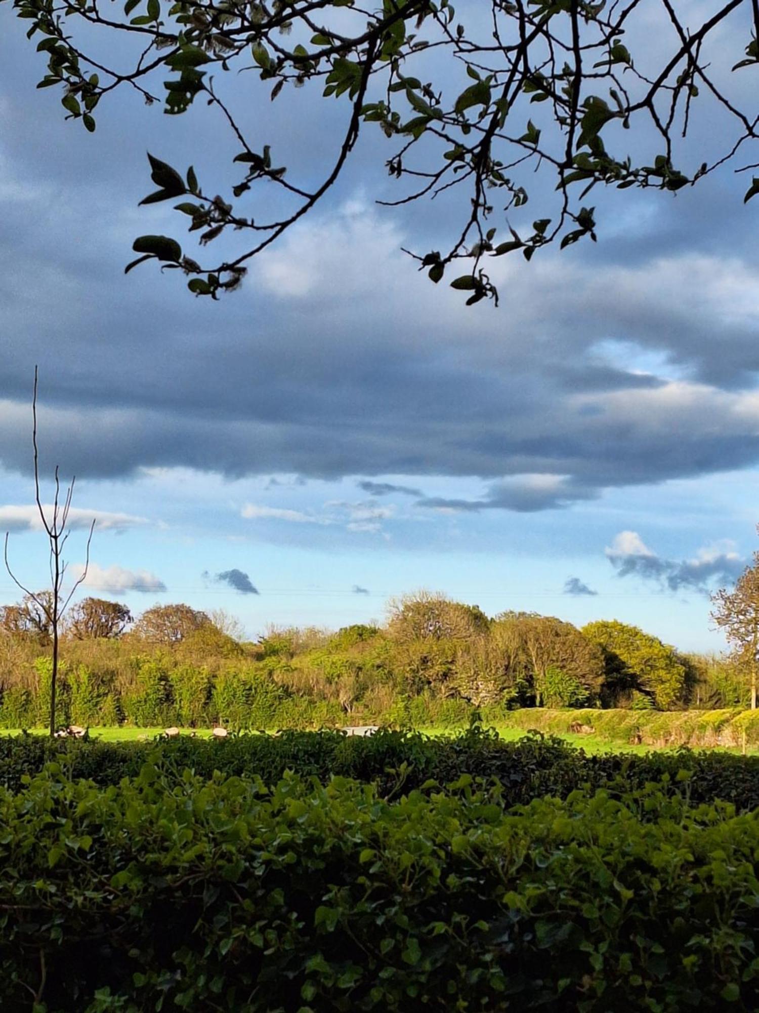 Ard Aoibhinn Roscommon Lecarrow Exteriér fotografie