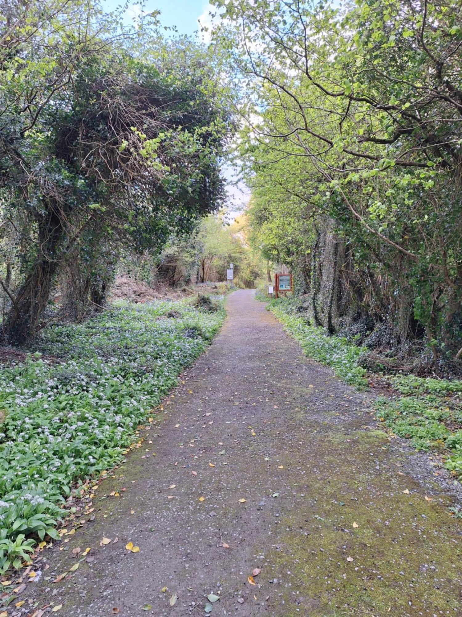 Ard Aoibhinn Roscommon Lecarrow Exteriér fotografie